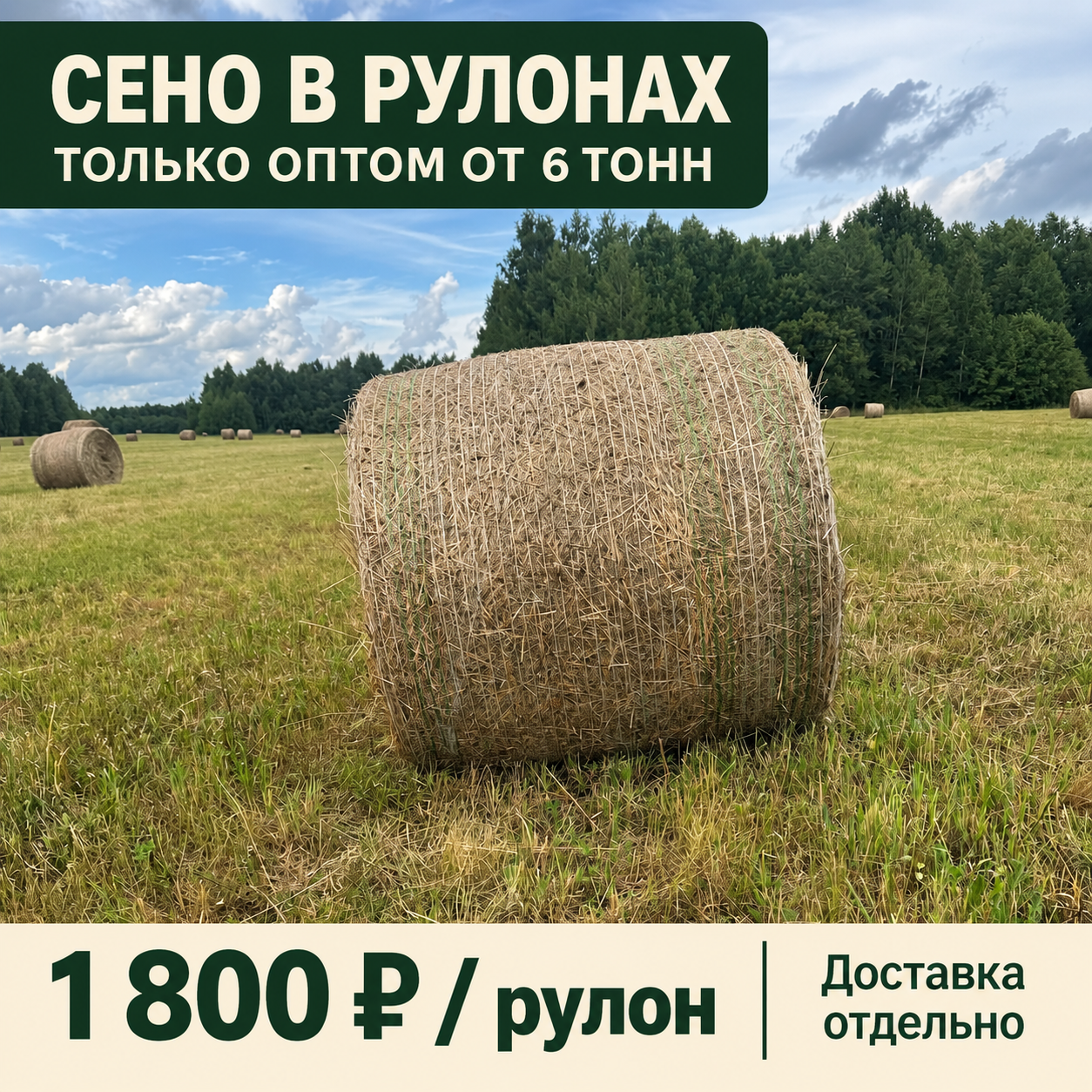 Сено в рулонах на лугу